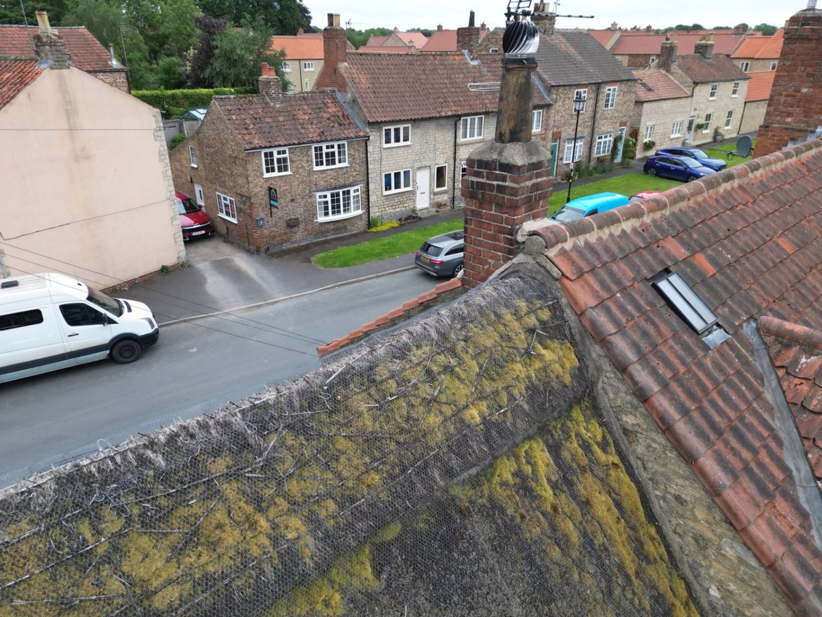 Moss growth and weathering to ageing thatched roof